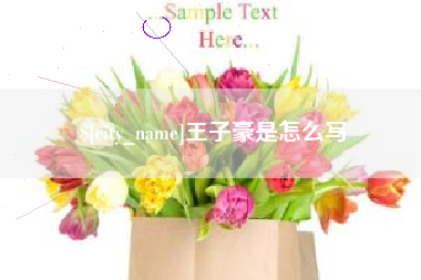 朝阳王子豪是怎么写