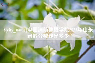 朝阳中国消防救援学院2021年山东录取分数线是多少