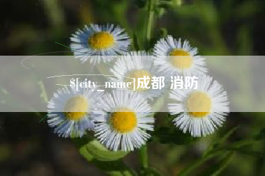 朝阳成都 消防