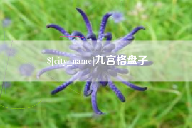 朝阳九宫格盘子