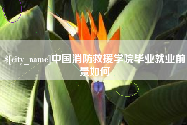 朝阳中国消防救援学院毕业就业前景如何