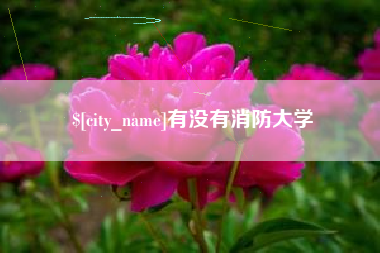 朝阳有没有消防大学
