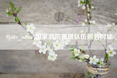 朝阳国家消防救援队伍报名网址