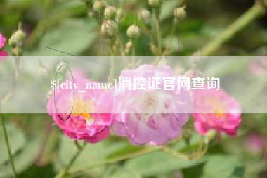 朝阳消控证官网查询