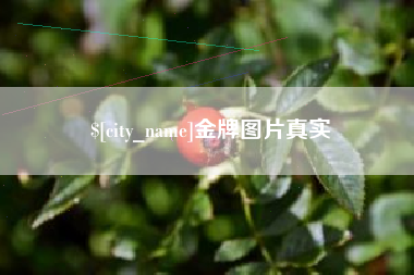 朝阳金牌图片真实