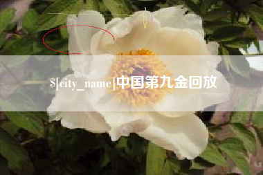 朝阳中国第九金回放
