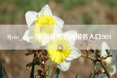 朝阳中国消防官网报名入口2024