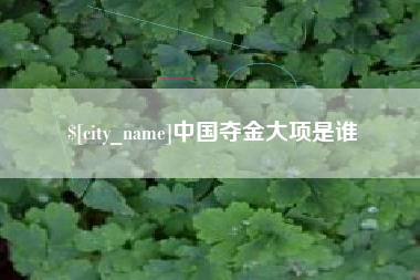 朝阳中国夺金大项是谁
