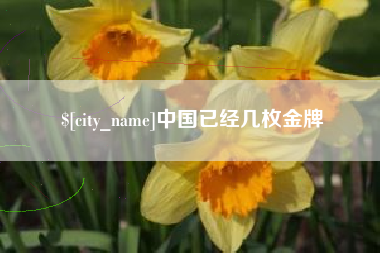 朝阳中国已经几枚金牌