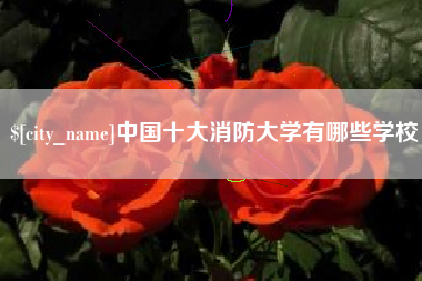 朝阳中国十大消防大学有哪些学校