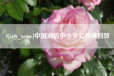 朝阳中国消防中小学公开课回放