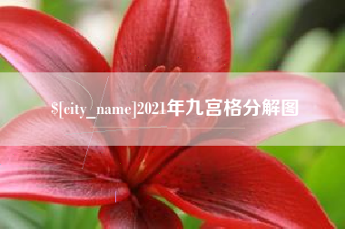 朝阳2021年九宫格分解图