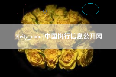 朝阳中国执行信息公开网