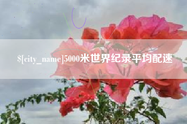朝阳5000米世界纪录平均配速