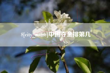 朝阳中国夺金排第几