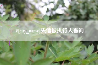朝阳失信被执行人杳询
