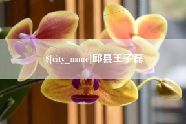 朝阳邱县王子磊