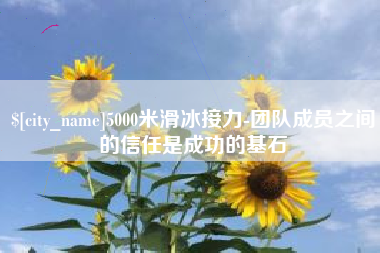 朝阳5000米滑冰接力-团队成员之间的信任是成功的基石