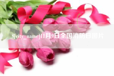 朝阳11月9日全国消防日图片