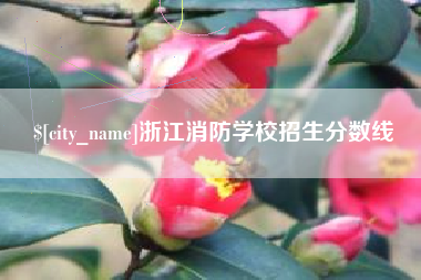 朝阳浙江消防学校招生分数线