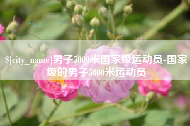 朝阳男子5000米国家级运动员-国家级的男子5000米运动员