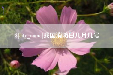 朝阳我国消防日几月几号