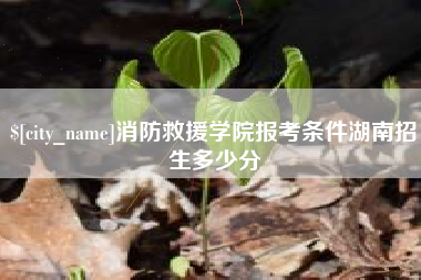 朝阳消防救援学院报考条件湖南招生多少分