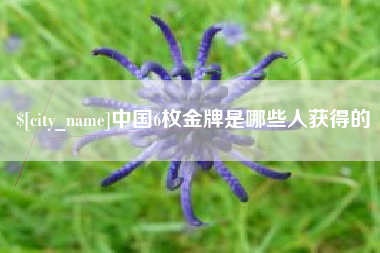朝阳中国6枚金牌是哪些人获得的