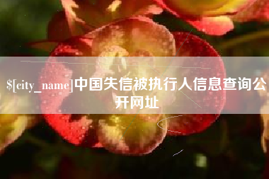 朝阳中国失信被执行人信息查询公开网址