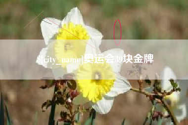 朝阳奥运会39块金牌