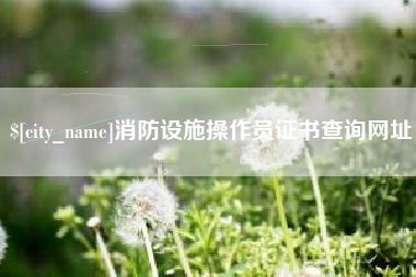 朝阳消防设施操作员证书查询网址