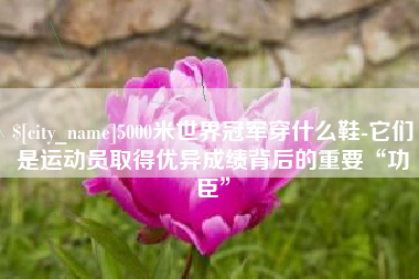 朝阳5000米世界冠军穿什么鞋-它们是运动员取得优异成绩背后的重要“功臣”