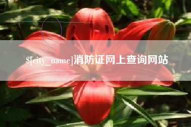 朝阳消防证网上查询网站