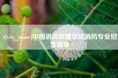 朝阳中国消防救援学院消防专业招生简章