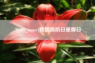 朝阳我国消防日是哪日