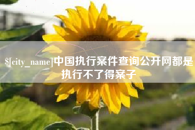 朝阳中国执行案件查询公开网都是执行不了得案子
