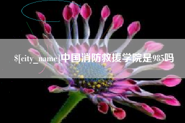 朝阳中国消防救援学院是985吗