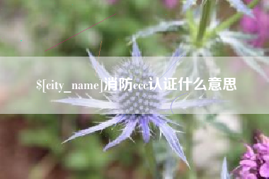 朝阳消防ccc认证什么意思