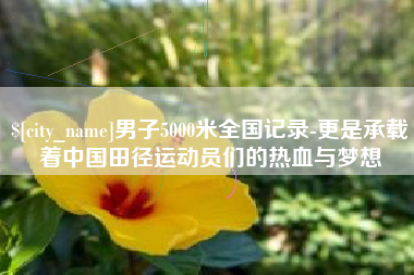 朝阳男子5000米全国记录-更是承载着中国田径运动员们的热血与梦想