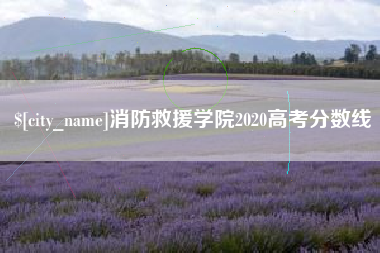朝阳消防救援学院2020高考分数线