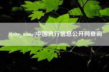 朝阳中国执行信息公开网查询
