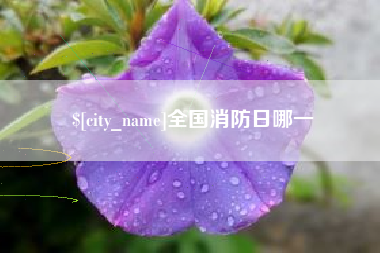 朝阳全国消防日哪一