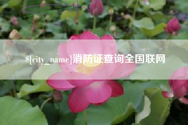 朝阳消防证查询全国联网