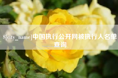 朝阳中国执行公开网被执行人名单查询