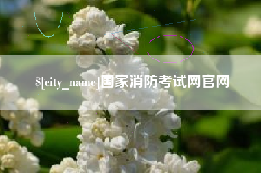 朝阳国家消防考试网官网