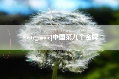 朝阳中国第九个金牌