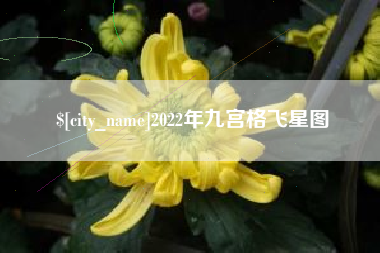 朝阳2022年九宫格飞星图