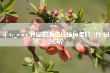 朝阳我国的消防日是每年的11月9日对吗？