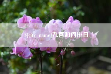 朝阳九宫如何排日