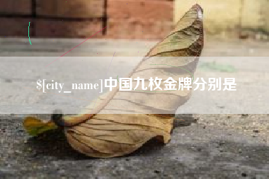 朝阳中国九枚金牌分别是